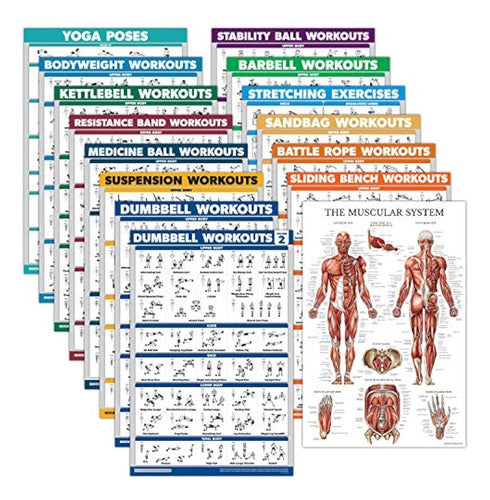 Palace Learning Package of 15 - Exercise Poster Set: Dumbbells 0