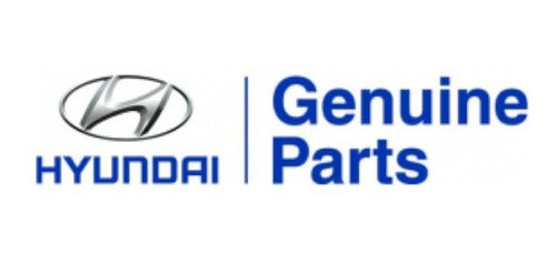 Oil Cap Hyundai Atos GLS Imported 3