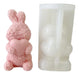 Doctor Glitter Silicone Mold Rabbit with Roses and Heart 0