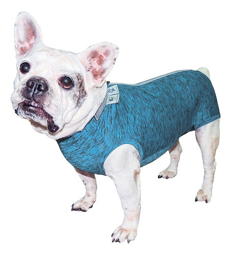 Zoolutions Ropa Protectora Para Bulldog Frances De 13 A 20 Kg 0