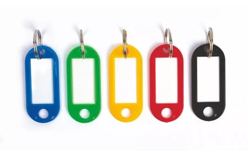 Generic Pack 25 Identifying Keychains Holder Tags 1