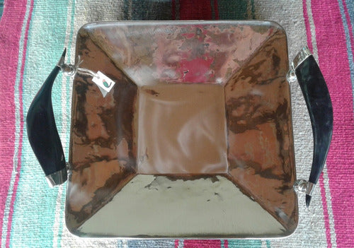 Square Alpaca Tray with Horn Handles 30x30 cm 1