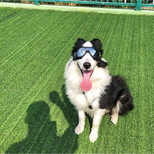 Petleso Dog Goggles Large Dog Sunglasses UV Protection Waterproof Windproof 1