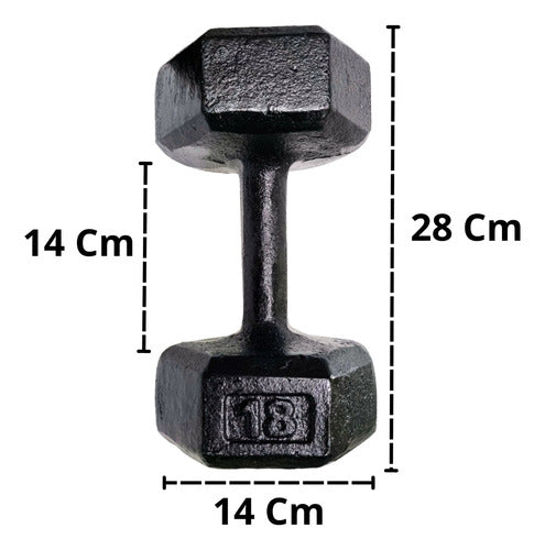 Full Fitness Solutions 18 Kg Cast Iron Dumbbell with Excellent Finish 2