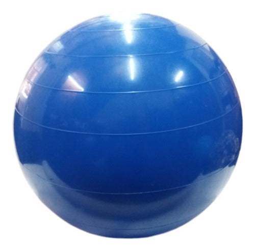 Fitness Gym Ball 55 cm 1000g 1