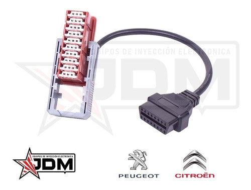 Adaptador Peugeot 30 Pines A Obd2 De 16 Pin + Programa 3