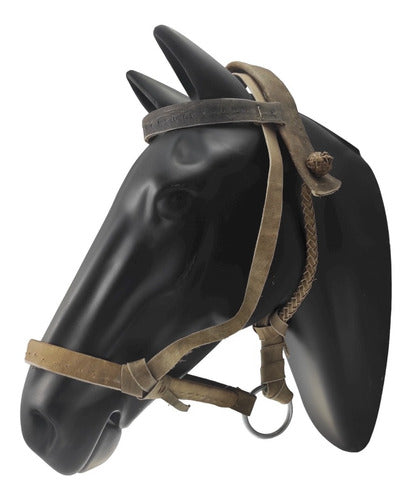 Heavy Palenquero Raw Leather Muzzle for Horse by Jaleña Talabartería 4