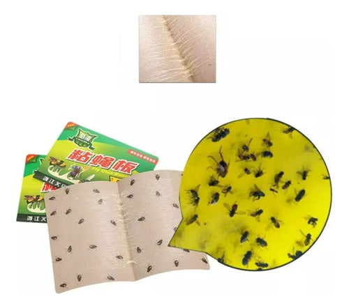 Set of 24 Adhesive Trap Plates for Catching Insects like Flies and Cockroaches 0