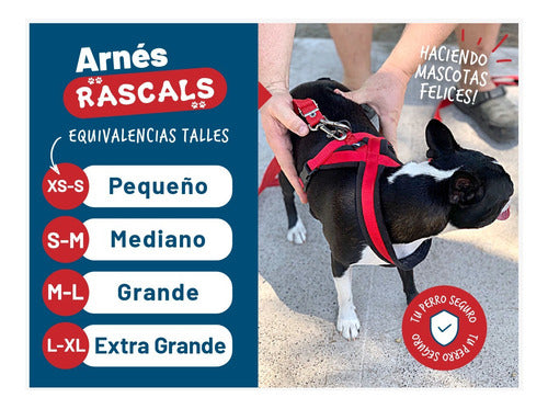 Padded Premium Large Dog Harness Rascals 23