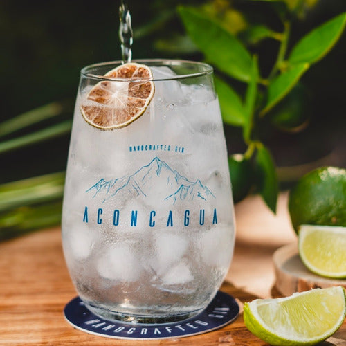 Aconcagua Gin Tonic Handcrafted X12 Units 4