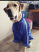 Rafa Style Dog Wear Piloto Impermeable Dogo De Burdeos Hecho A Medida 2