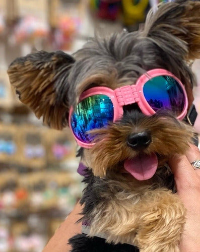 Lentes Para Perros, Anteojos De Sol, Gafas, Sunglases 1