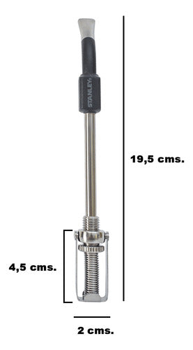 Stanley Combo: Thermos + Mate + Original Spring Straw 4