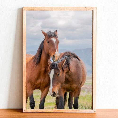 Horses Photos Picture Frame Various Models 0