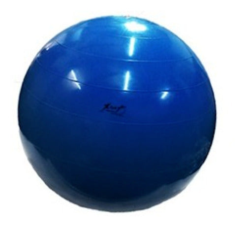 Fitness Gym Ball 55 cm 1000g 2