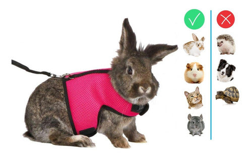 Ferplast Jogging XLarge Red Harness for Rabbits, Chinchillas, Guinea Pigs, and Cats 1