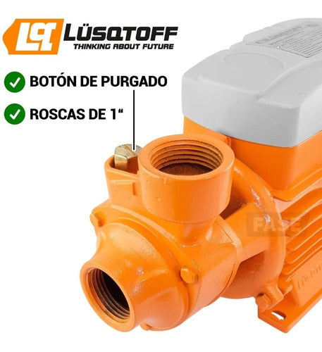Peripherical Water Boosting Pump 1/2 Hp 375w for Irrigation Lusqtoff 5