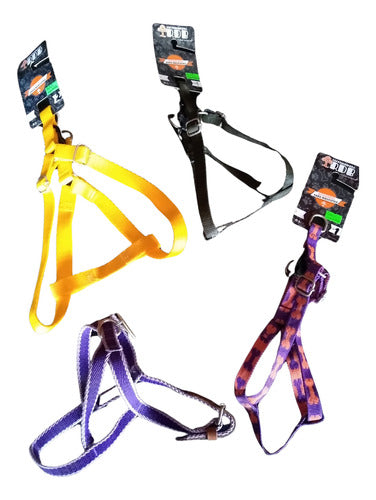 RDB Adjustable Dog Harness in Various Sizes 1