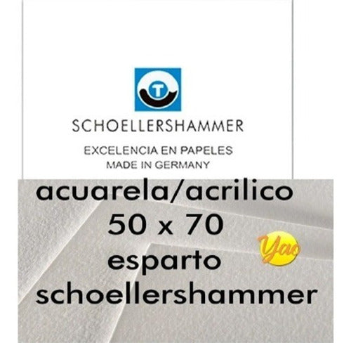 Scoeller Shammer Papel Hojas Para Acrilico 50 X 70 420gr X Unidad 1