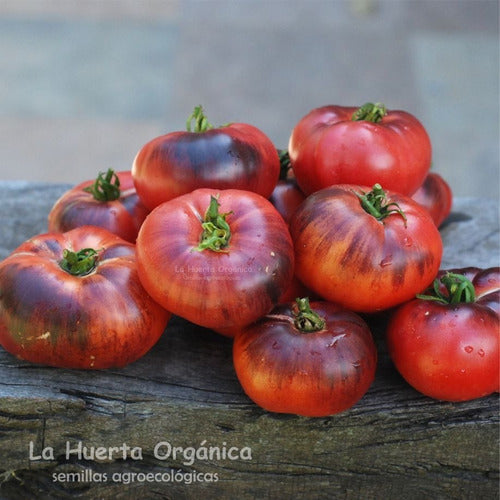 LA HUERTA ORGÁNICA Semillas Tomate Blue Beauty! Belleza Azul. Exóticos! 5