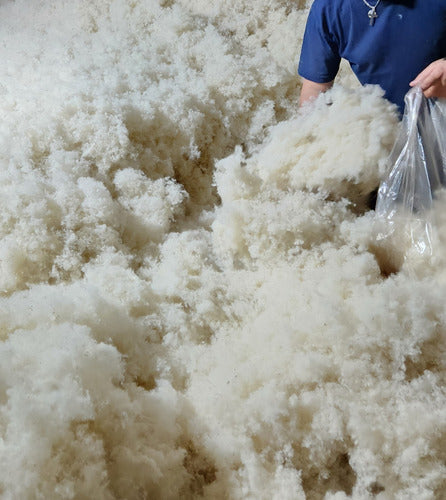 Washed Sheep Wool Filling for Mattresses / Futons / Pillows 10 Kg 0