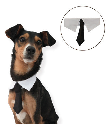 Katiko Pets Adjustable Solid Tie for Dogs - Pet Accessories 0