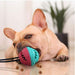 Mostaza Pet Shop Refillable Food Ball Toy for Dogs, Rubber, Treat 2