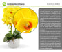 Artificial Yellow Orchid Plant in Ceramic Pot - 40cm 3