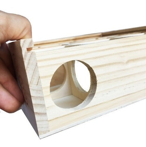 Wooden Maze for Syrian, Russian, and Dwarf Hamsters - Guaranteed Fun 5