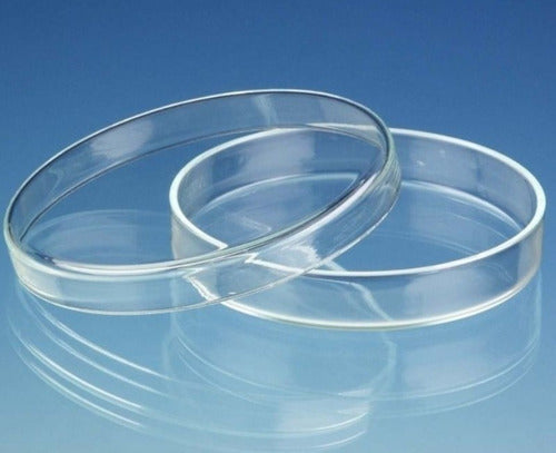 Center Quimica Borosilicate Glass Petri Dish 60x15mm 0