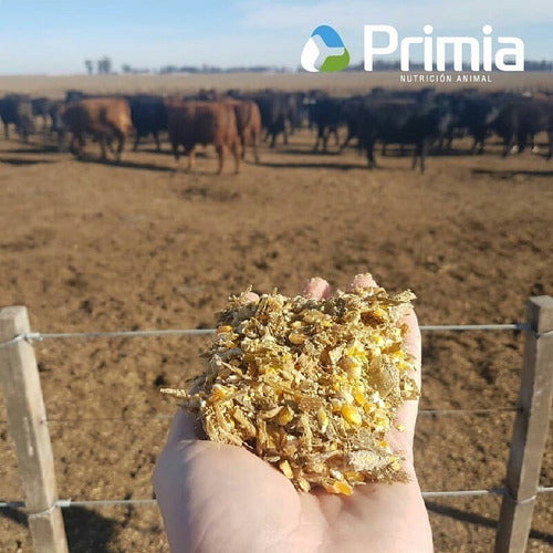 Primia Balanced Feed for Calves 18% 7