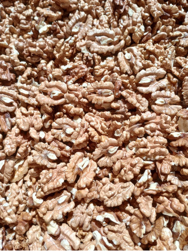 Extra Light Walnut Pulp - 5 Kg 3