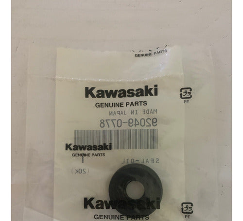 Reten Bomba De Agua Original Kawasaki Z1000 Zx-10r Ninja H2 1