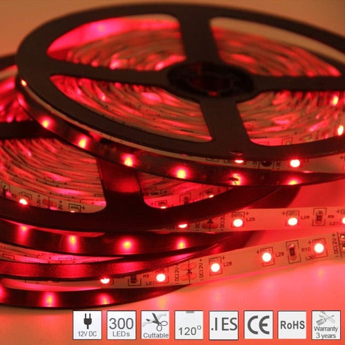 LED Strip 5050 Roll 10 Meters Colors 12V Interior + Power Supply 32