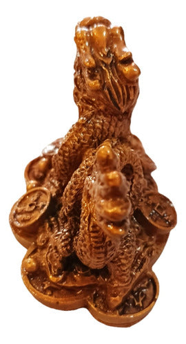 Dragon Feng Shui Figure with Prosperity Coins 3