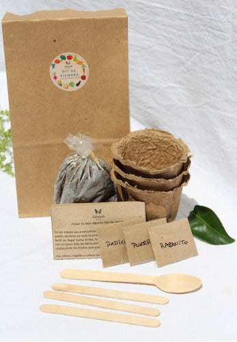 Biodegradable Seed Planting Eco Kit with Biodegradable Pot and Seeds 2
