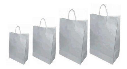 Bolsas De Papel  Blanco Con Manija Paq. X 10u. (25x35x11) 0