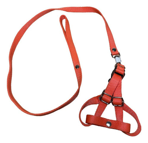 MATE CON MIEL Adjustable Collar Set for Small Dog - 23-33 cm 0