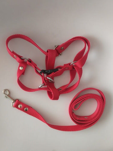 Adjustable Harness with Leash Size 2 for Medium Dogs 2