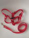 Adjustable Harness with Leash Size 2 for Medium Dogs 2
