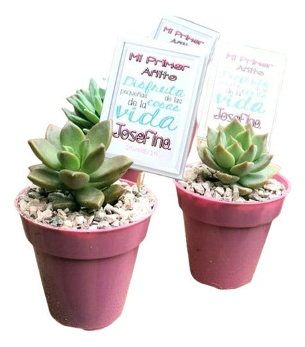 10 Succulents Souvenirs N° 6 Customized 0