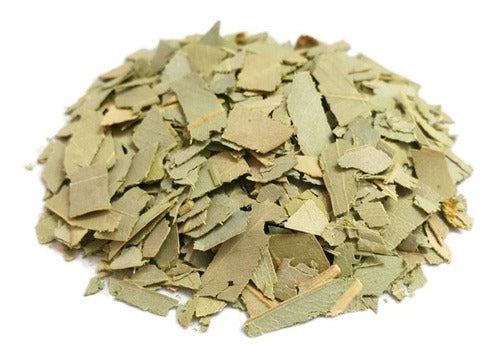 Eucaliptus Dried Medicinal Herb Leaves - 1 Kg 1