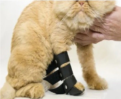 Customized Front Leg Cat Splint Up to 10cm Height 1