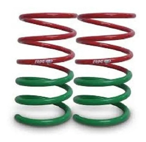 RM Kit 2 Progressive Rear Springs Escort 88/95 Rm P204 0