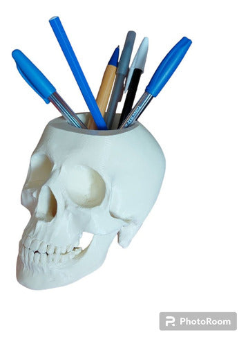 Superior Quality 3D Anatomical Skull Pencil Holder Gift 0