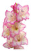 Agroparque Gladiolus Bulbs, Imported from Holland, Choose! X 10 1