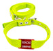 Medallas para perros Red Tag + Green Apple Collar and Leash 3