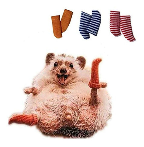 Haichen Tec 3 Pairs of Handcrafted Small Animal Socks 0