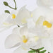 Briful Artificial Orchid Flowers Arrangement in Silver Ceramic Vase 2