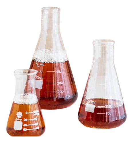 Erlenmeyer De Vidrio X 2000 Ml 0